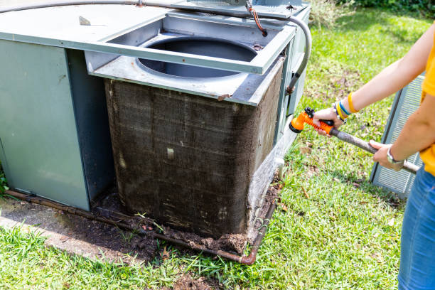 Best Affordable Air Duct Cleaning  in Piney, AR