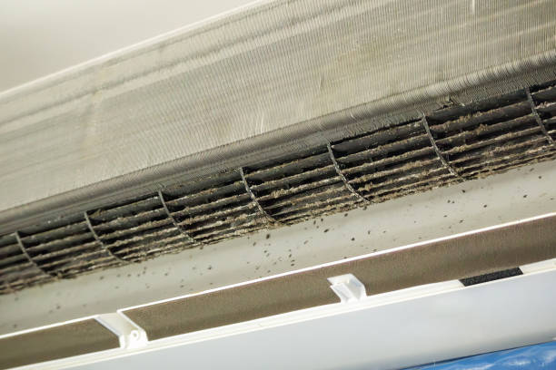 Best Commercial Air Duct Cleaning  in Piney, AR